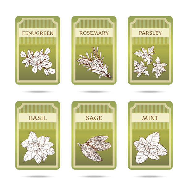 Collection of herbs labels - Διάνυσμα, εικόνα