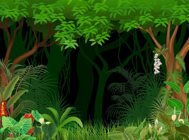 ilustracja tła lasu - Wektor, obraz