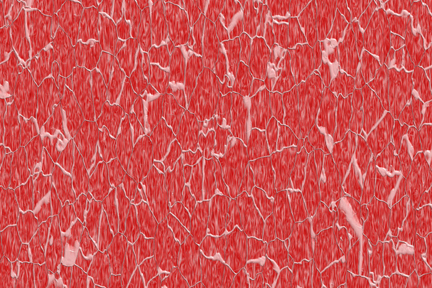La texture de la fibre musculaire
 - Photo, image
