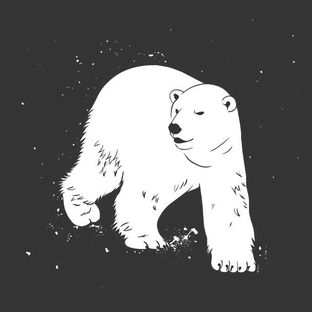 Biały niedźwiedź polarny - Wektor, obraz