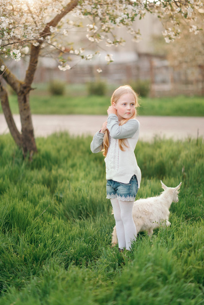 little girl with a goat - Fotoğraf, Görsel