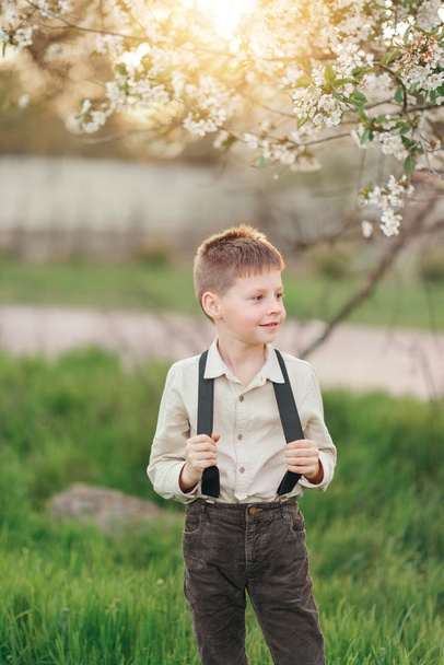 boy in blooming garden - 写真・画像