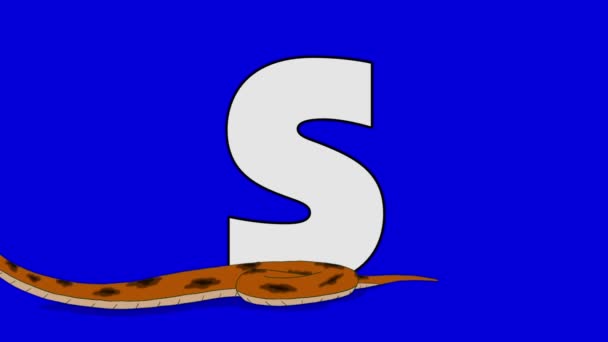 Letter S en slang (voorgrond) - Video