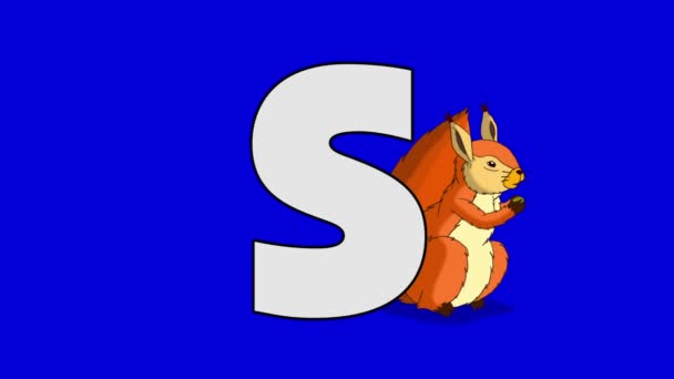 Buchstaben s und Eichhörnchen (Hintergrund) - Filmmaterial, Video