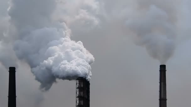 Zanieczyszczenia powietrza przez kominy przemysłowe wyrzucają chmury dymu w niebo - Materiał filmowy, wideo