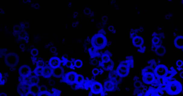 Geslacht symbool pictogrammen in blauw op zwart  - Video