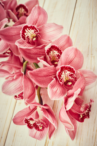 Flores de orquídea en la mesa
 - Foto, Imagen
