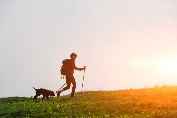 Chica pasea por las montañas con su perro
 - Foto, Imagen
