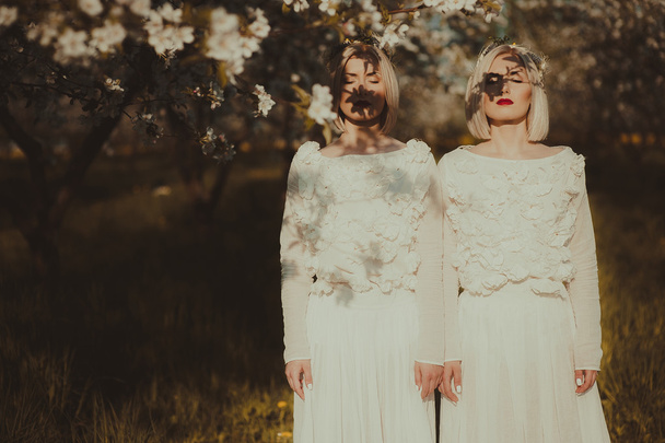 two twin sisters in a cherry blossom - Zdjęcie, obraz