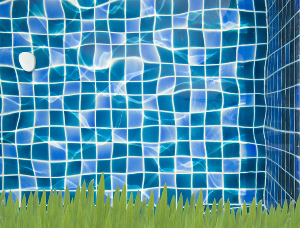 Зеленая трава и голубая вода в бассейне
 - Фото, изображение