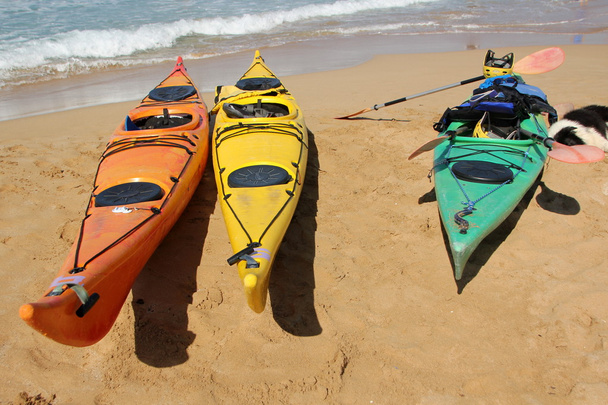 kayak en la playa             - Foto, imagen