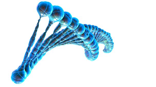 DNA-molecule. Concept van biochemie - Foto, afbeelding