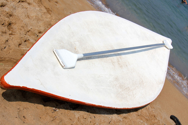 kayak en la playa             - Foto, imagen