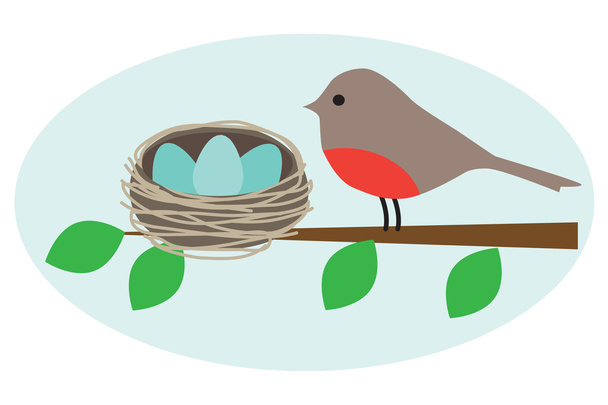 Robin ptáček s hnízdem - Vektor, obrázek