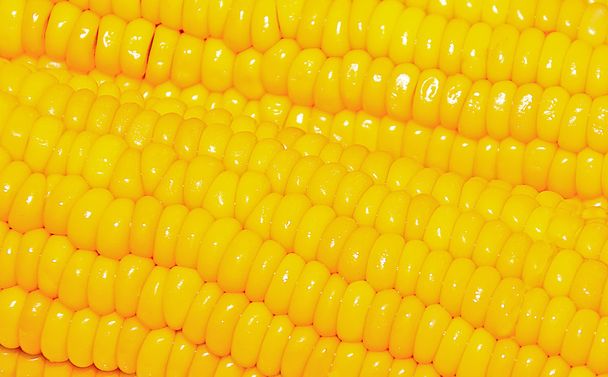 Крупный план текстуры кукурузы
 - Фото, изображение