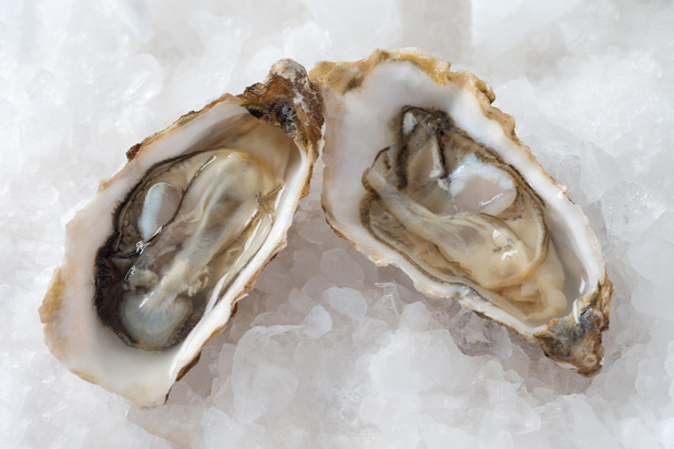 Franse voorgerecht oesters - Foto, afbeelding
