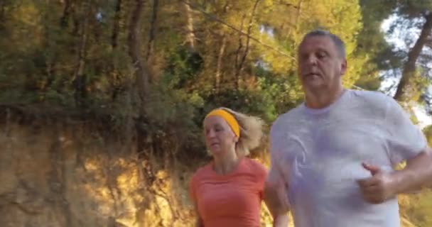 Mature Couple Jogging in Park - Footage, Video