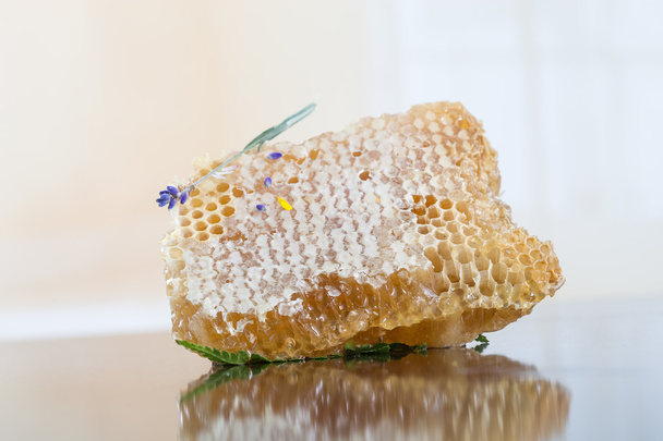 sweet yellow honeycomb - Photo, image