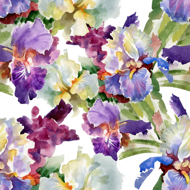 Watercolor blooming iris flowers - Zdjęcie, obraz