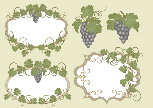 Set of frames with vines in vintage style. - Vector, Image