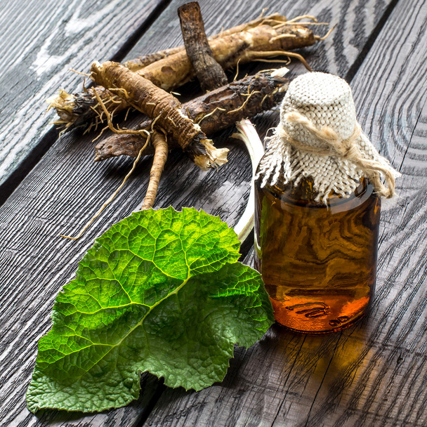 Las raíces y hojas de bardana, aceite de bardana en botellas
 - Foto, imagen