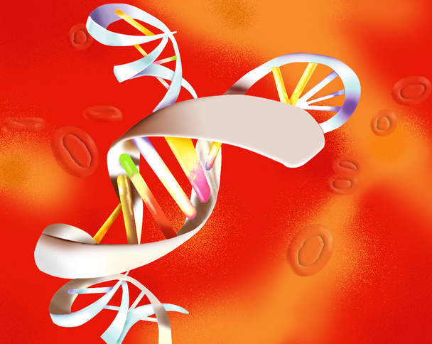 DNA kyselina desossiribonucleic - Fotografie, Obrázek