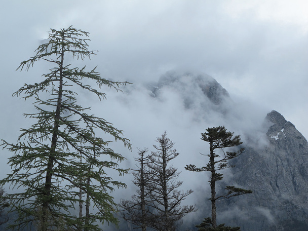 Нефритовый дракон Снежная гора. Нефритовый дракон Снежная гора является горой недалеко от Лицзяна, в провинции Юньнань, юго-западный Китай
 - Фото, изображение
