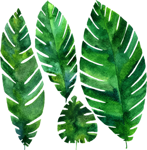vector watercolor green leaves - ベクター画像