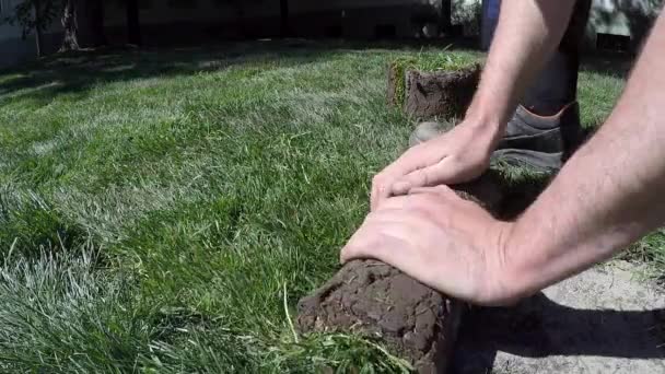 Rozwijania darń trawy i uderzenia siekierą na trawie - Materiał filmowy, wideo