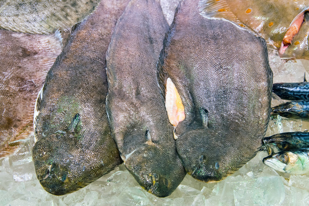 Единственная рыба на льду на рынке
  - Фото, изображение