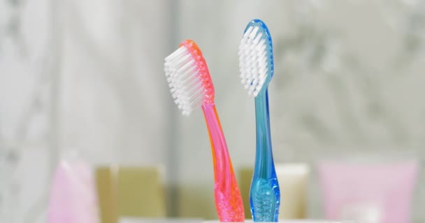 Cepillos de dientes para niños y adultos en la taza
 - Imágenes, Vídeo