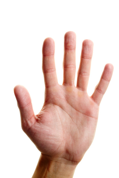 Showing palm - Photo, Image
