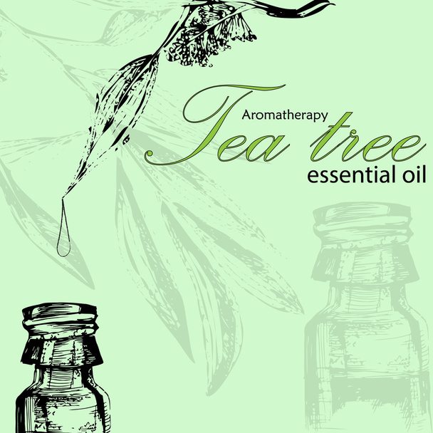 vector illustration of essential oil of tea tree - Vetor, Imagem
