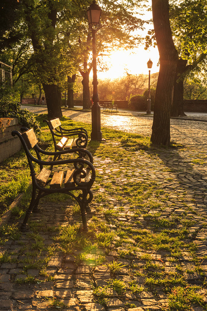Ławki w parku Vienna o zachodzie słońca - Zdjęcie, obraz