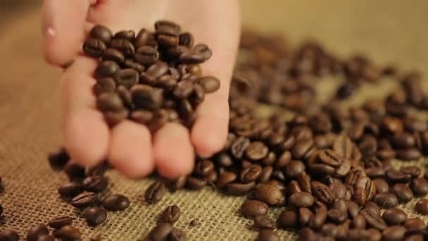 mão do especialista verificando grãos de café torrados leves, controle de qualidade na plantação
 - Filmagem, Vídeo