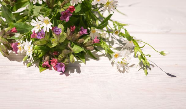 En prévision de la fête de la Trinité. Fleurs de champ fraîches et fond en bois blanc
 - Photo, image