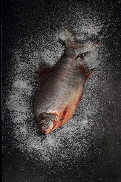 Raw Pamfret fish decorated with salt powder  - Foto, afbeelding