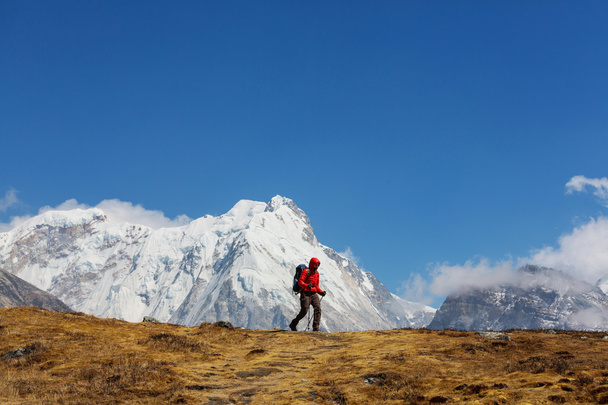 Caminhante nas montanhas do Himalaia
 - Foto, Imagem