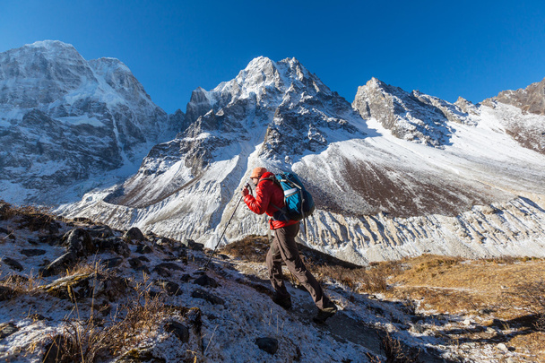 Hiker in Himalayas mountains - Foto, afbeelding