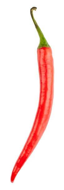 Chili pippuri eristetty valkoinen
   - Valokuva, kuva