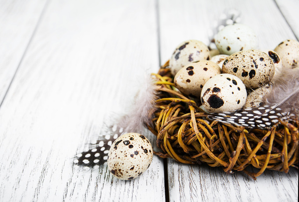 quail eggs in nest - Фото, изображение