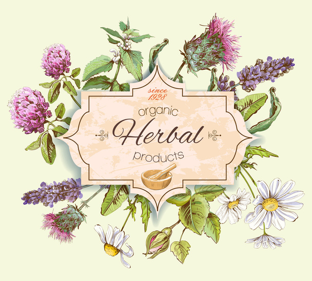 Herbal vintage banner - Vektor, kép