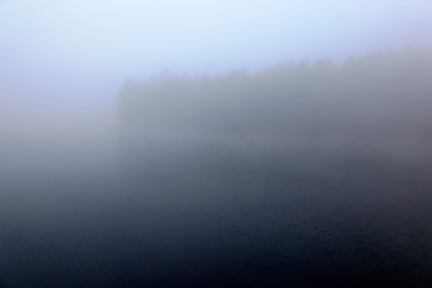 Foto de Treeline niebla - Foto, Imagen