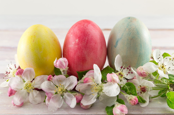 Uova di Pasqua e fiori primaverili - Foto, immagini