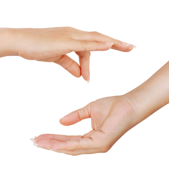 Женские руки - Фото, изображение