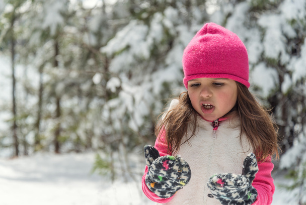 portrait d'une petite fille en hiver - Photo, image