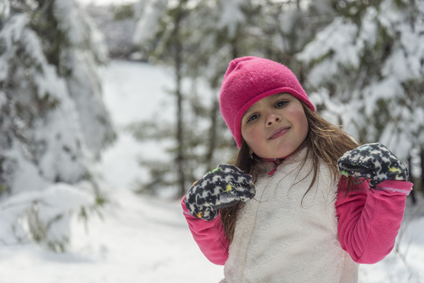 retrato de una niña en invierno - Foto, imagen
