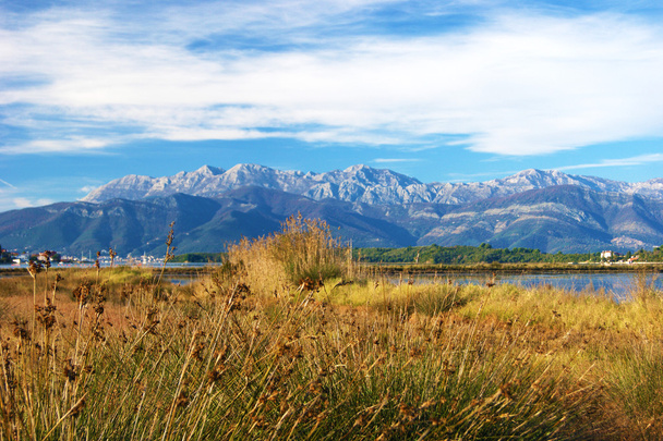 Herfst landschap van het natuurreservaat Tivat - Foto, afbeelding