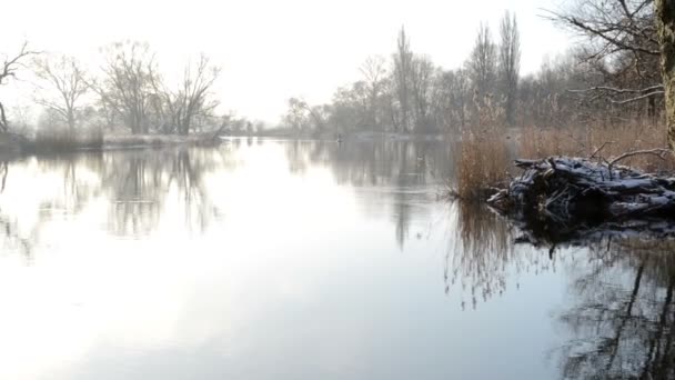 Зима на реке Гавел. Ива пытается проплыть вдоль реки, отражаясь в воде. голубое небо и солнце
.  - Кадры, видео
