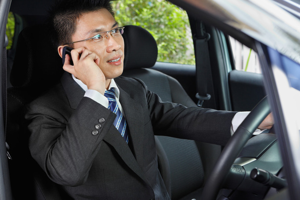 Talking on phone while driving - 写真・画像